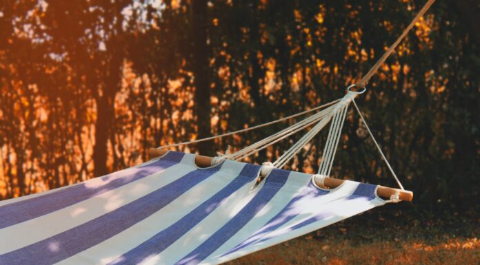 Instinct photo of hammock outdoor