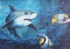 In Defense shark and two fishes wall graffiti