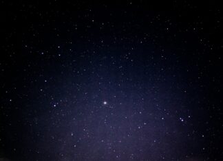 Interview With the Poet nebulas