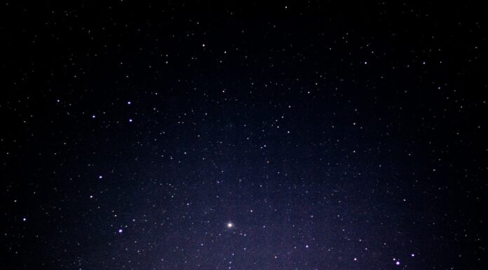 Interview With the Poet nebulas