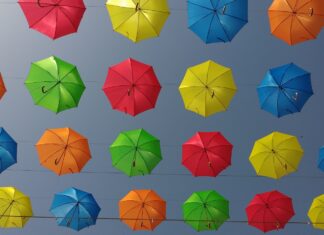 time lapse poem assorted-color umbrella lot