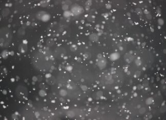 POSTCARD FROM MY SICKNESS #3 (LETTER TO ME) bokeh photography of snows