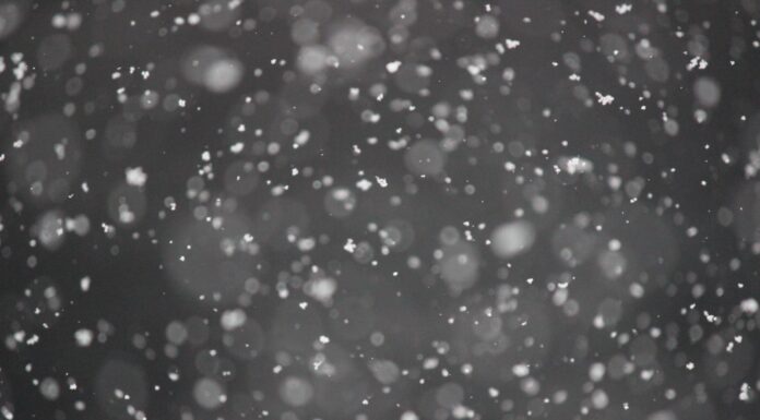POSTCARD FROM MY SICKNESS #3 (LETTER TO ME) bokeh photography of snows