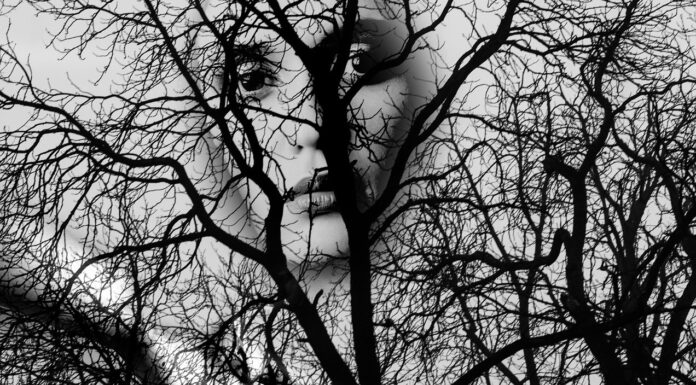 STORIES ARE EMPIRES WAITING TO COLLAPSE