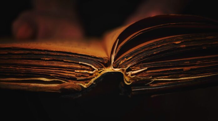 The Book of Unknowing person reading book