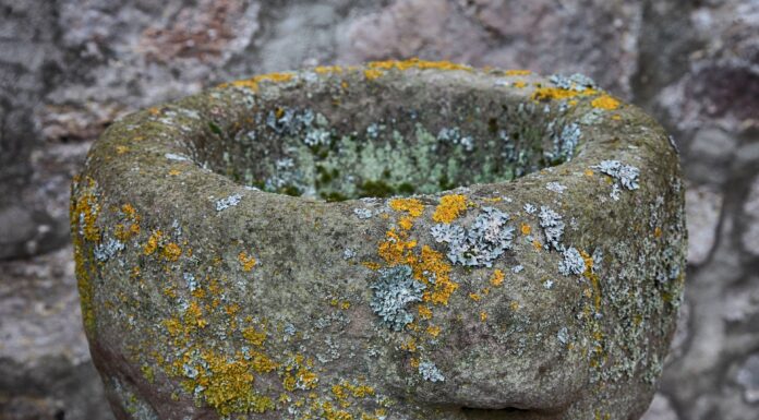 Elegy at Antelope Canyon