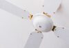 Alone white 3 bladed ceiling fan