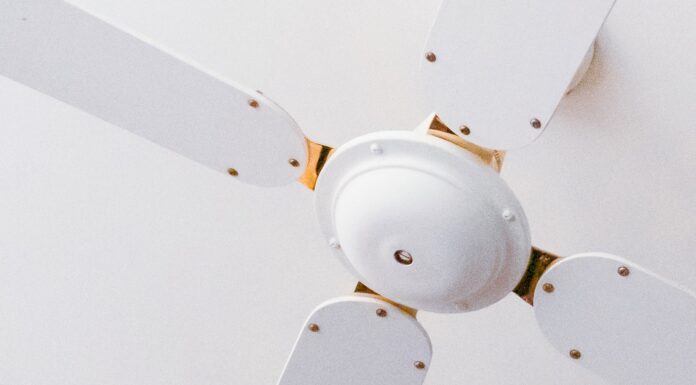 Alone white 3 bladed ceiling fan