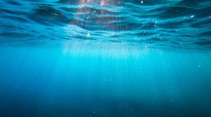 Freedom is a game of loss clear blue body of water