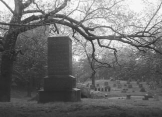 Wonderful grayscale photo of bare trees near city buildings