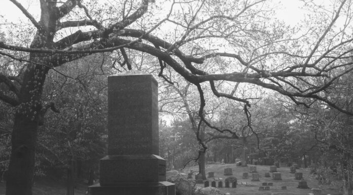 Wonderful grayscale photo of bare trees near city buildings