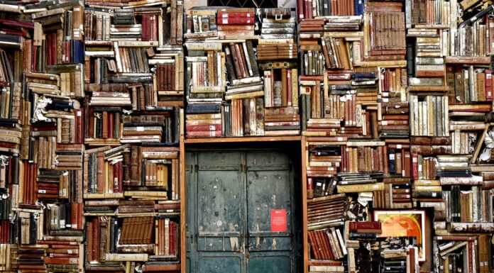 This Order vs Disorder