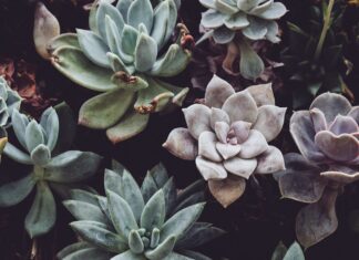 To look for yourself