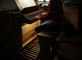 Sound of the Organ