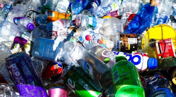 5:24AM sprite plastic bottle on table