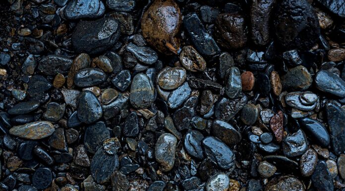 haiku’ish gray and black stones on water