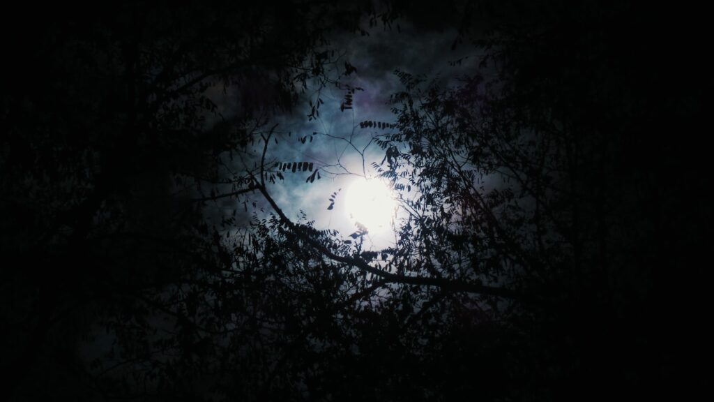 REMEMBERING HER PORCH AND THE MOONLIGHT