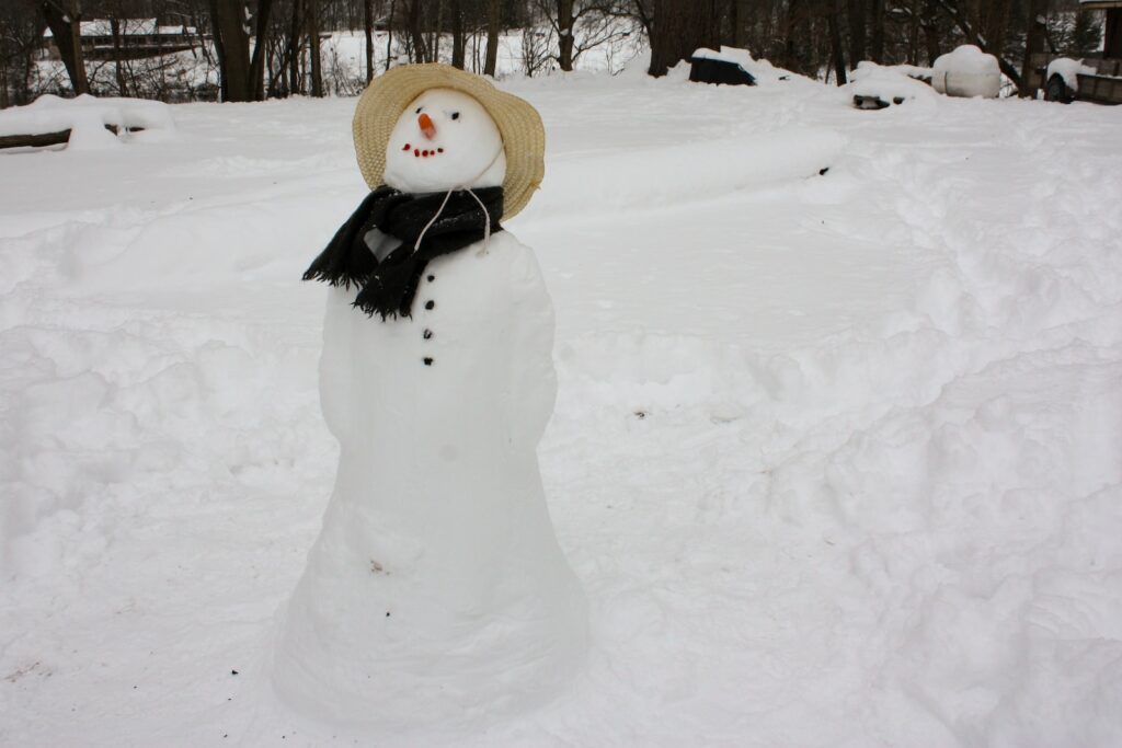 i am not the melting snowman