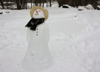 i am not the melting snowman snowman with white hat on snow covered ground during daytime