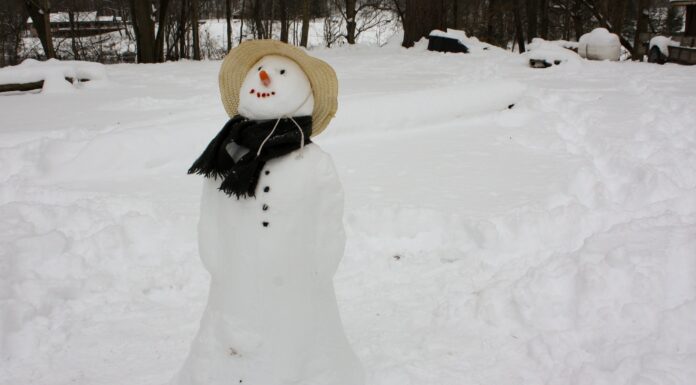 i am not the melting snowman snowman with white hat on snow covered ground during daytime