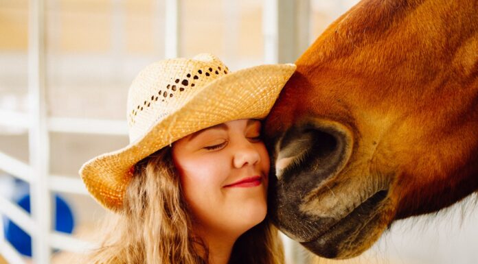 1969, with Music & a Horse woman's face next to horse