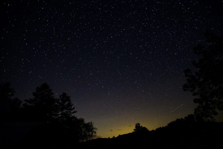 Jar Light, Starlight
