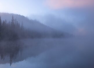 I remember you, fog, do you remember me?