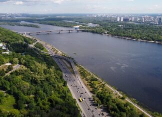 Detroit River aerial view of green trees near body of water during daytime