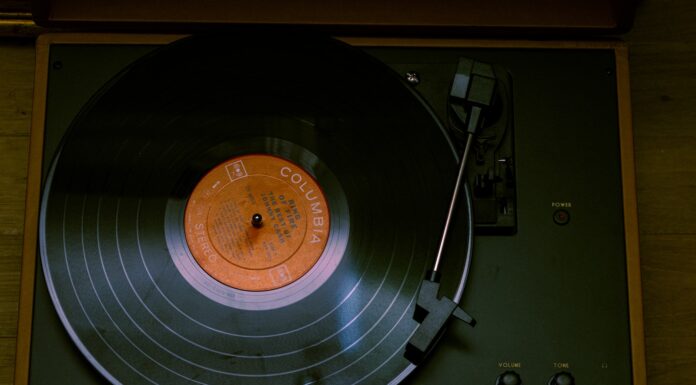 In Rehearsal for Death black and brown vinyl record player