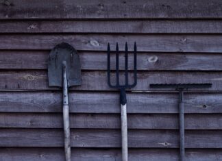 even as the skies darken brown shovel and two rakes on brown wooden surface