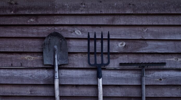 even as the skies darken brown shovel and two rakes on brown wooden surface