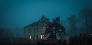 Sleepless Again and Again person walking towards house