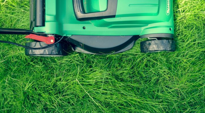 Delusion green and black lawnmower on green grass