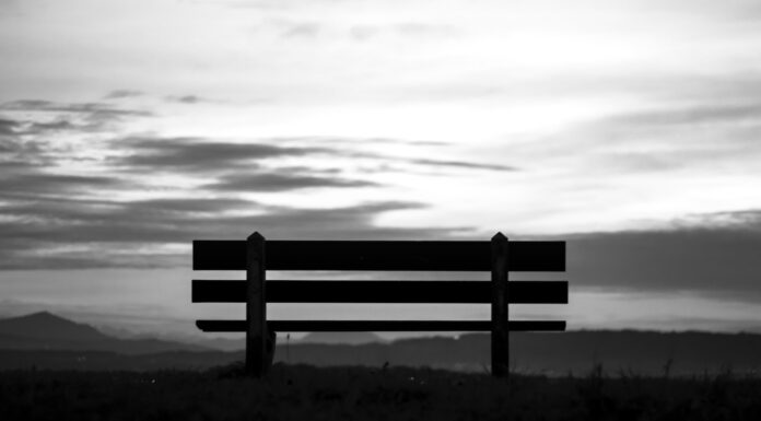 nobody a black and white photo of a bench on a hill
