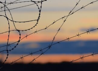 If there was any lesson learned black barbwire in close up photography during daytime