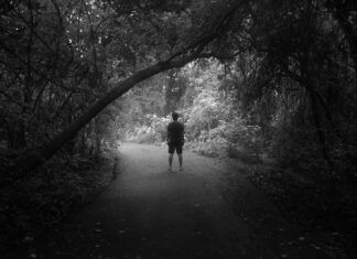 the hurt a person walking down a path in the woods