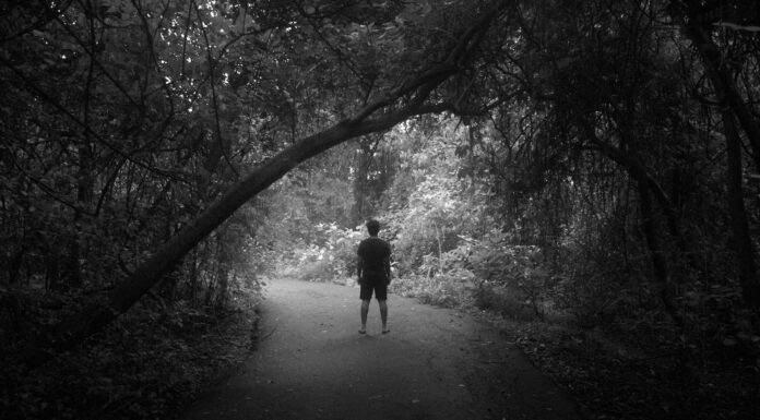 the hurt a person walking down a path in the woods