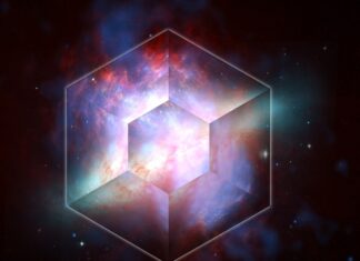 The Last Will Be The First