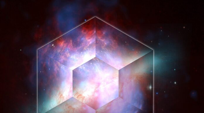 The Last Will Be The First