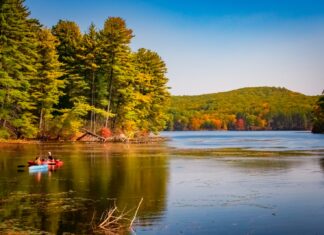 We Will Go Again in Autumn green trees beside lake under blue sky during daytime