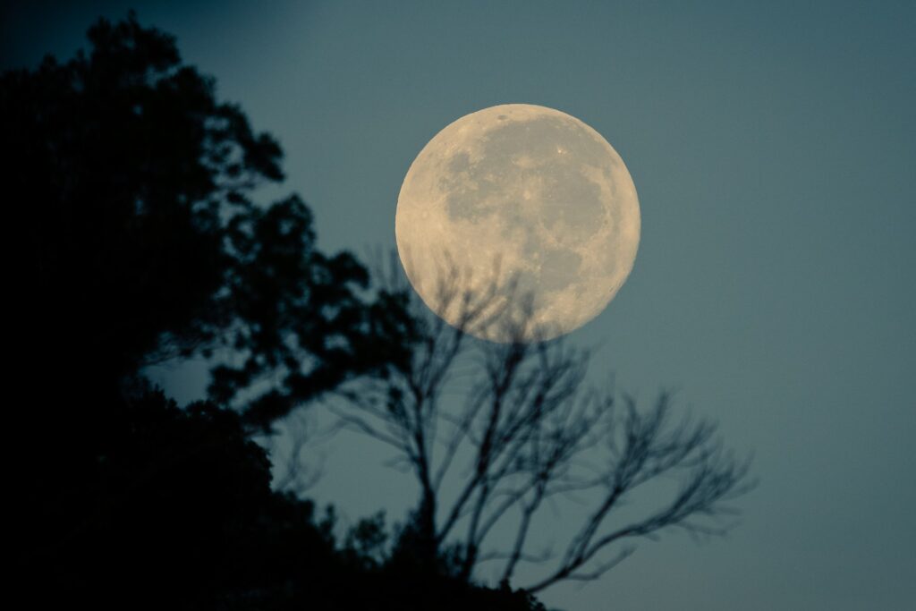 Fool Moon