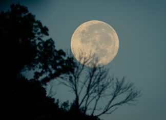 Fool Moon moon photography