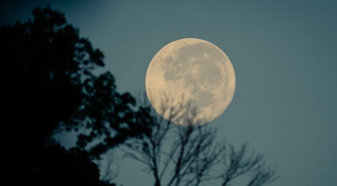 Fool Moon moon photography