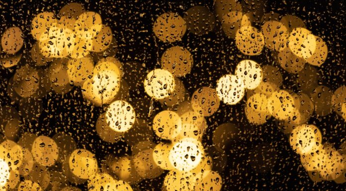 fluid encryptions photography of yellow lights