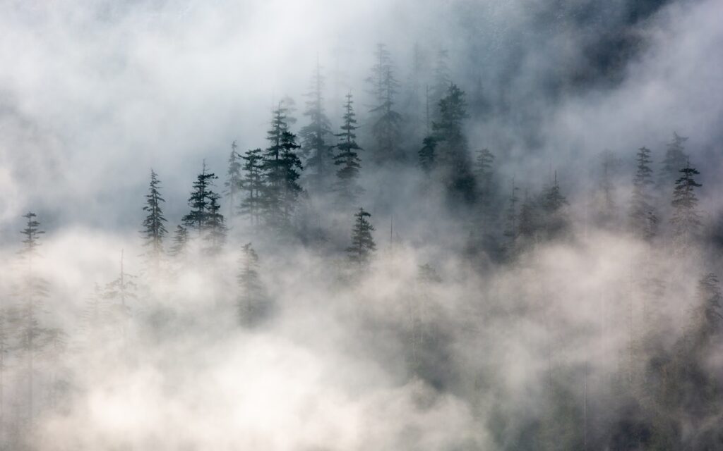 Mist