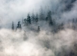 Mist mountain covered with fogs