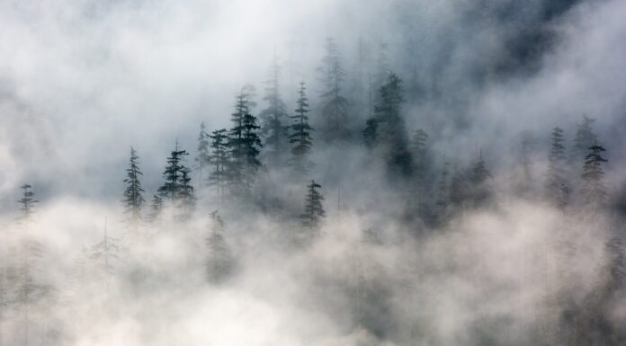 Mist mountain covered with fogs