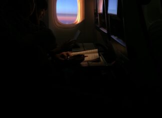 A face of regal splendor