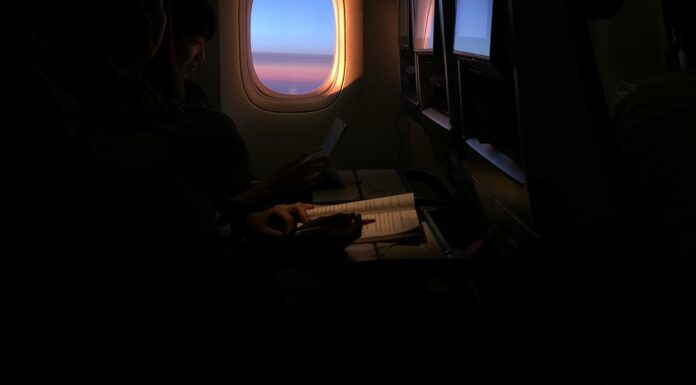 A face of regal splendor