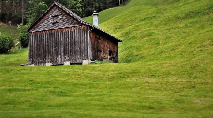 My Father’s Minutes